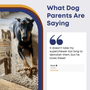 12" Braided Bully Sticks - Bully Sticks Central