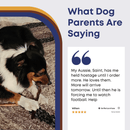 12" Gullet Strips For Dogs - Bully Sticks Central