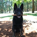 12 Inch Jumbo Bully Stick - Bully Sticks Central