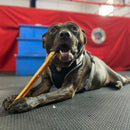 12 Inch Monster Bully Sticks - Bully Sticks Central