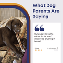 12" Jumbo Bully Stick - Bully Sticks Central