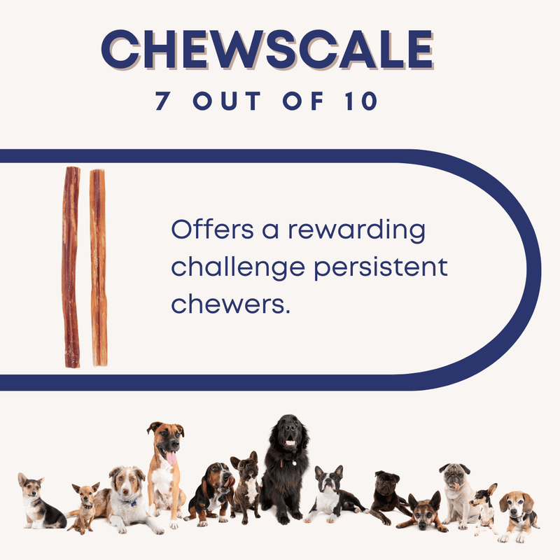 Bully sticks sales for aggressive chewers