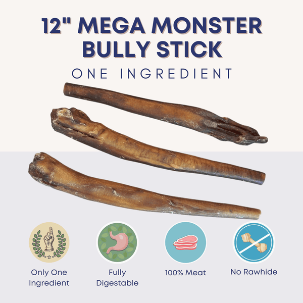 12" Mega Monster Bully Stick - Bully Sticks Central