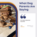 12" Monster Bully Sticks - Bully Sticks Central