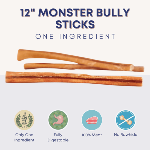 12" Monster Bully Sticks - Bully Sticks Central