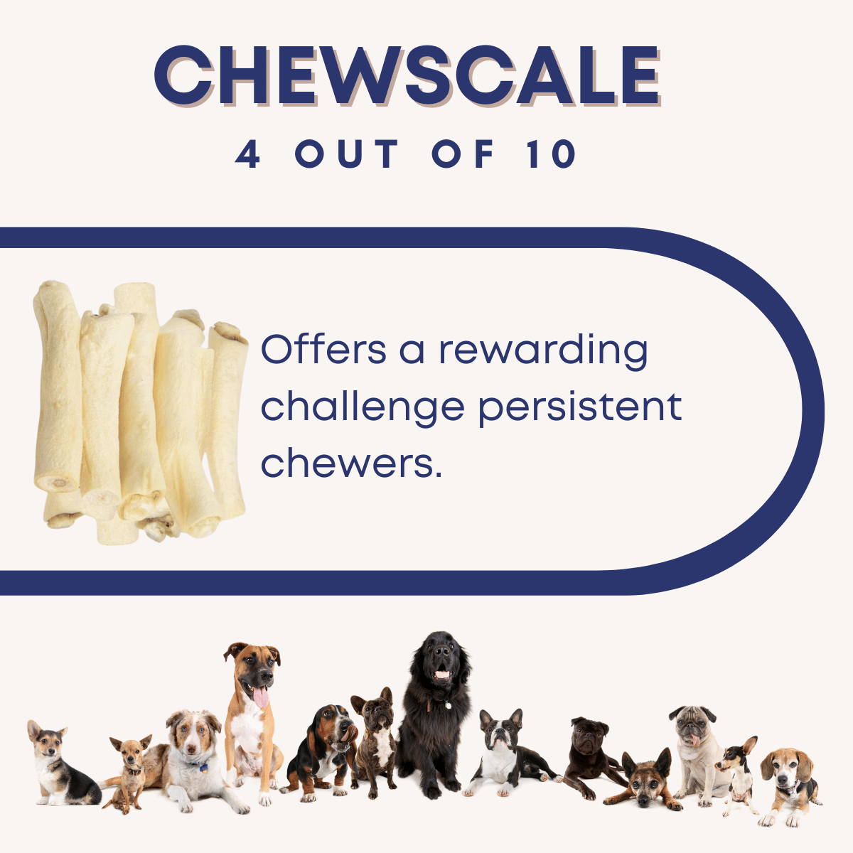 Cow tail chews for dogs hotsell