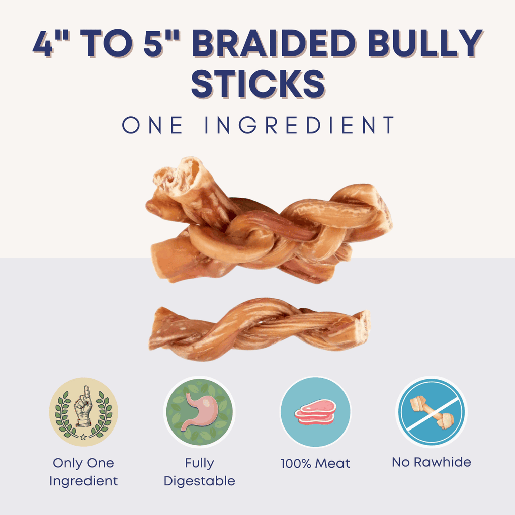 4 5 Inch Braided Bully Sticks All Natural Dog Chews for
