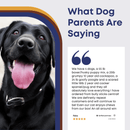 5-6" Stuffed Gullets For Dogs - All-Natural Dog Chews for Treat-Loving Pups - Bully Sticks Central