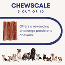 5-6" Stuffed Gullets For Dogs - All-Natural Dog Chews for Treat-Loving Pups - Bully Sticks Central