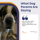 6" Braided Pork Jerky for Dogs - Bully Sticks Central