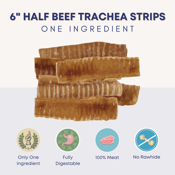 6" Half Beef Trachea Strip - Bully Sticks Central