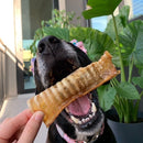 6 Inch Half Beef Trachea Strip - Bully Sticks Central