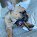 6 Inch Standard Bully Sticks - Bully Sticks Central