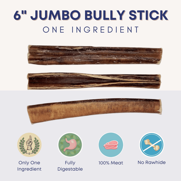 6" Jumbo Bully Stick - Bully Sticks Central