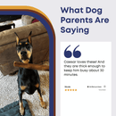 6" Jumbo Bully Stick - Bully Sticks Central