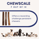 6" Jumbo Bully Stick - Bully Sticks Central