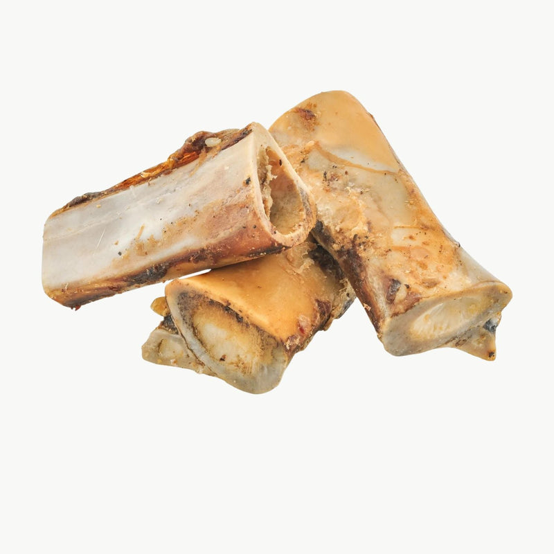Beef Femur Dog Bone - 6 inches - Bully Sticks Central