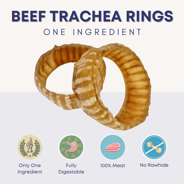Beef Trachea Ring Natural Chew Dog Treat - Bully Sticks Central