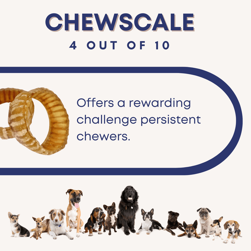 Beef Trachea Ring Natural Chew Dog Treat - Bully Sticks Central