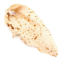 Bully Dusted Cow Ear for Dogs - Bully Sticks Central