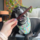 Collagen sticks for dogs - Bully Sticks Central