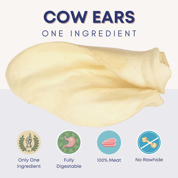 Cow Ears For Dogs