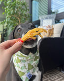 Dehydrated Chicken Feet - Crunchy Dog Treats - Bully Sticks Central
