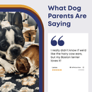 Hairy Cow Ears - Natural Beef Ears with Hair - 5 Pack - Bully Sticks Central