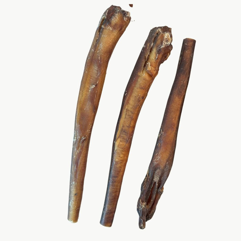 Mega Monster Bully Stick - Bully Sticks Central