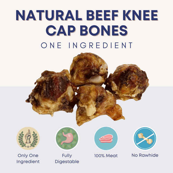Natural Beef Knee Cap Bones - Bully Sticks Central