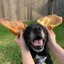 Pig Ears For dogs - Bully Sticks Central
