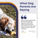 Puffy Pig Snouts - Bully Sticks Central